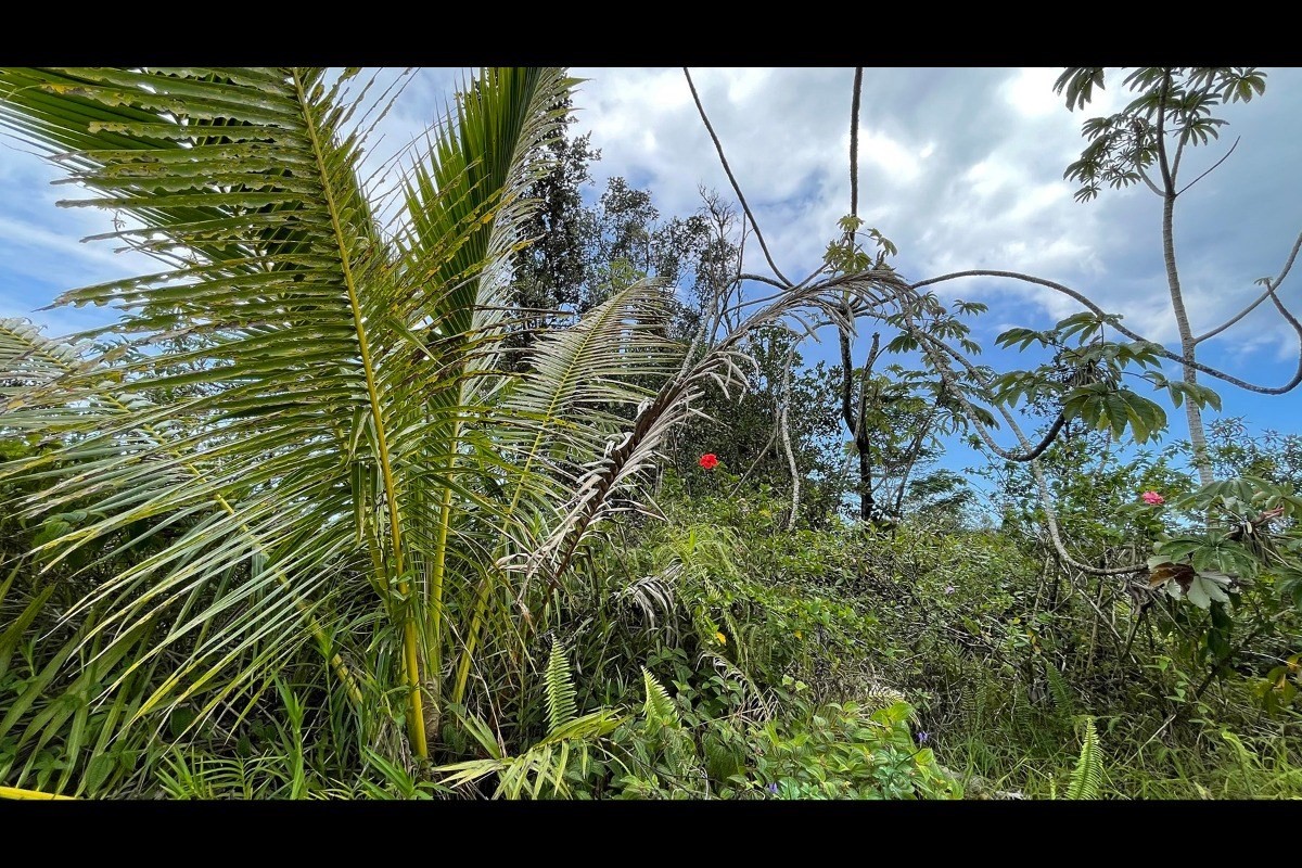 ハワイアンパラダイスパーク土地不動産画像サムネイル12