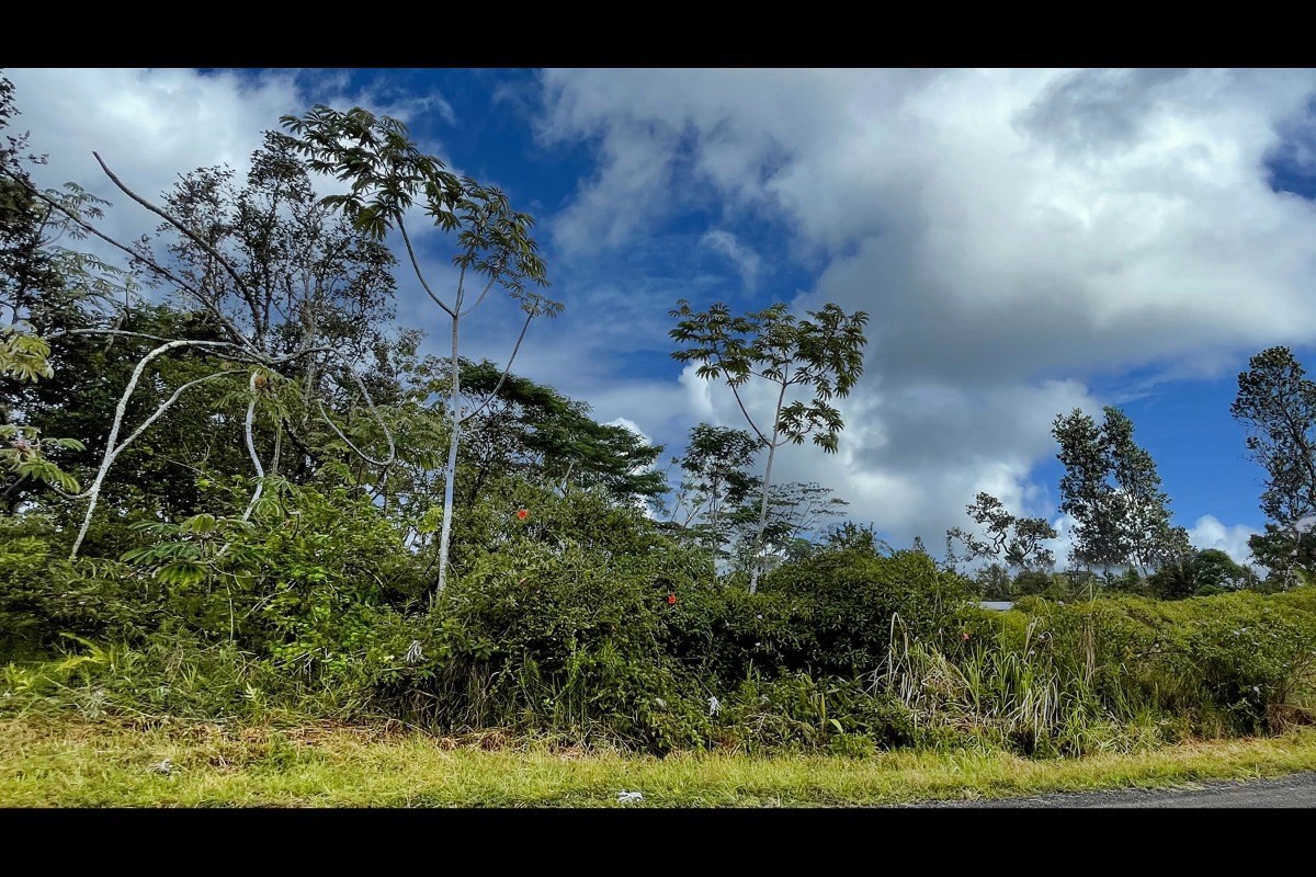ハワイアンパラダイスパーク土地不動産画像2