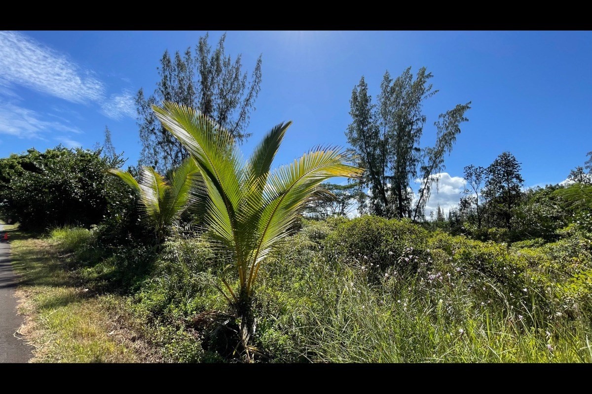 ハワイアンパラダイスパーク土地（海近物件）不動産画像9